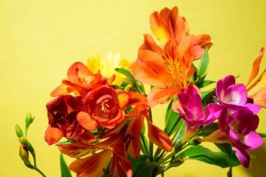 Parlak arka planda güzel çiçekler, bahar ve anneler günü konsepti, yakın görüş.  