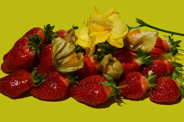 Nahaufnahme Von Frischen Und Saftigen Erdbeeren Und Physalis Mit Blüten — Stockfoto