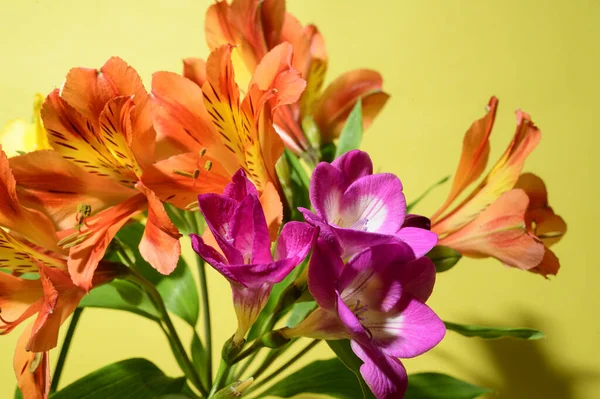 Buquê Flores Bonitas Fundo Brilhante Conceito Primavera Dia Mãe Vista — Fotografia de Stock