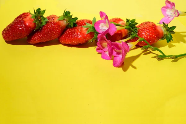 Blick Auf Frische Und Saftige Erdbeeren Und Blumen Auf Hellem — Stockfoto