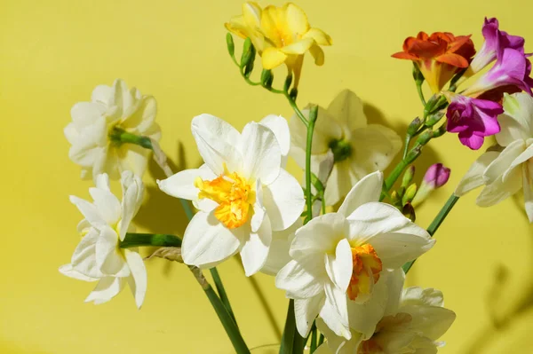 Букет Красивих Квітів Яскравому Фоні Концепція Весняного Материнського Дня Вид — стокове фото