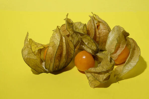 Parlak Arka Planda Taze Taze Bitki Salatası — Stok fotoğraf