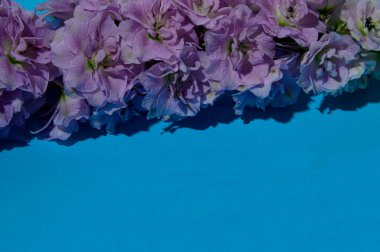 Parlak arka planda güzel çiçekler, bahar konsepti, yakın manzara  