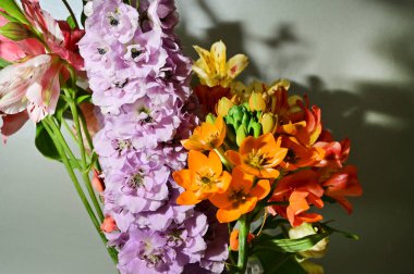 Renkli arka planda bir buket güzel çiçek, bahar konsepti, yakın görüş  