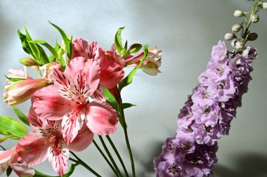 Renkli arka planda bir buket güzel çiçek, bahar konsepti, yakın görüş  