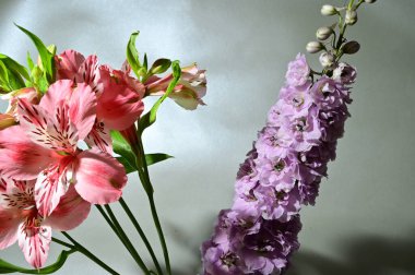 Renkli arka planda bir buket güzel çiçek, bahar konsepti, yakın görüş  