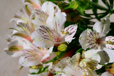 Hafif arka planda güzel çiçekler, yaz konsepti, yakın manzara  