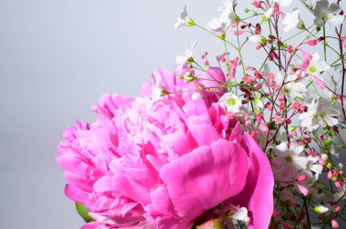 Açık arkaplanda güzel çiçekler, yakın manzara. 