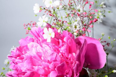 Açık arkaplanda güzel çiçekler, yakın manzara. 