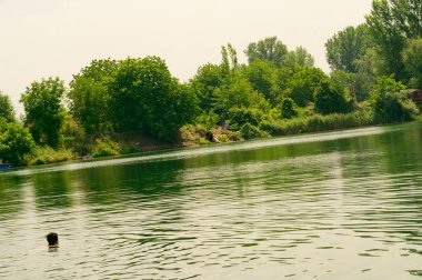 Güneşli bir günde nehirde ormanlık alanda yüzen insan manzarası