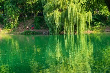 Güneşli bir günde nehir kıyısında dinlenen insanların resimli görüntüsü.