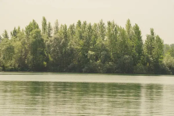 Malerischer Blick Auf Den Wald Wächst Ufer Des Flusses Bei — Stockfoto