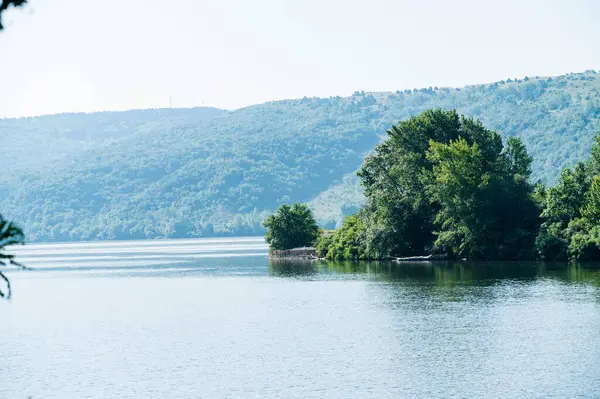 Vista Pittoresca Della Foresta Infinita Che Cresce Sulla Riva Del — Foto Stock