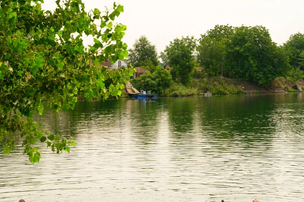 picturesque view of forest growing on shore of river at sunny day