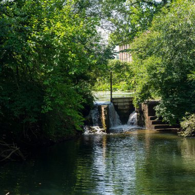 Adım şelalesi Ormanda nehrin hızlı akışıyla 