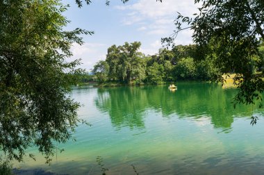 Güneşli bir günde nehir kıyısında büyüyen orman manzarası