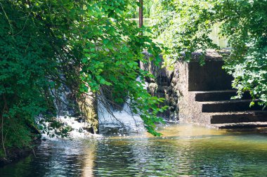 Adım şelalesi Ormanda nehrin hızlı akışıyla 