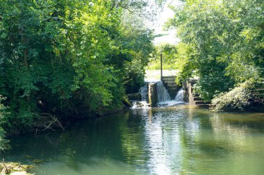 Adım şelalesi Ormanda nehrin hızlı akışıyla 