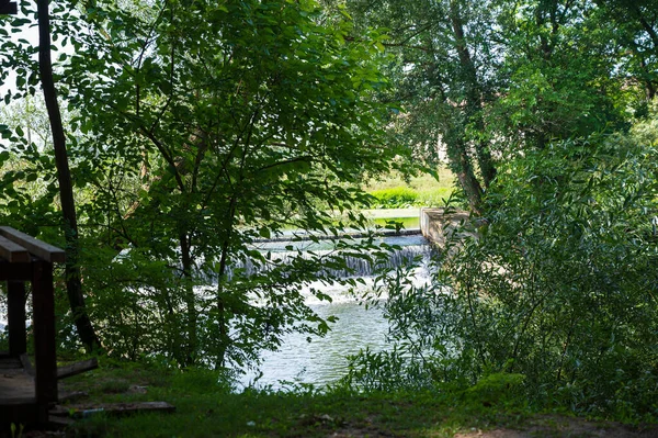 Schilderachtig Uitzicht Bos Groeien Oever Van Rivier Zonnige Dag — Stockfoto