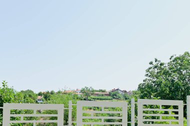 Güneşli bir günde ağaçların arasındaki kırsal alandaki binaların manzarası