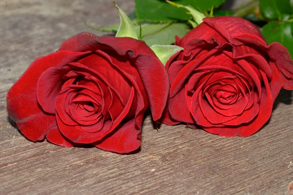 Ahşap Arka Planda Güllerin Romantik Kompozisyonu Yakın Görüş Kutlama Konsepti — Stok fotoğraf