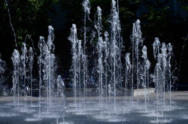 Şehir parkında çalışan çeşme.