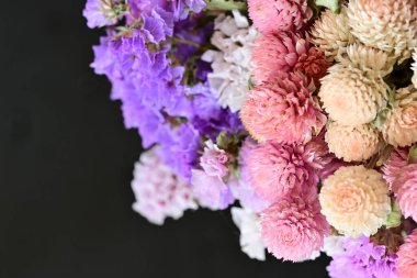 güzel Gomphrena globosa çiçekleri siyah arkaplanda 