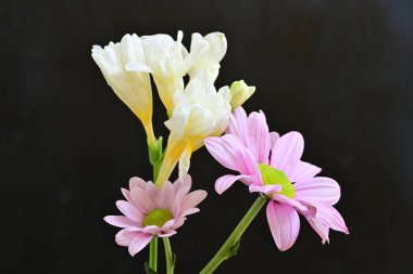 Siyah arka planda narin çiçekleri olan güzel çiçek buketini kapat.       