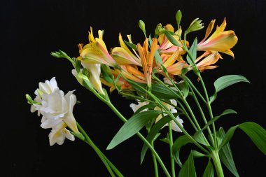 Siyah arka planda narin çiçekleri olan güzel çiçek buketini kapat.       