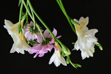 Siyah arka planda narin çiçekleri olan güzel çiçek buketini kapat.         