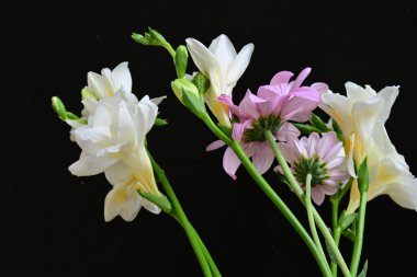 Siyah arka planda narin çiçekleri olan güzel çiçek buketini kapat.         