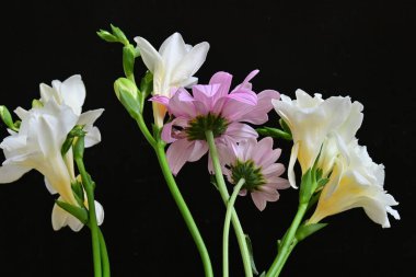 Siyah arka planda narin çiçekleri olan güzel çiçek buketini kapat.         