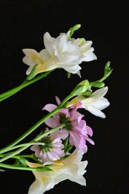 Siyah arka planda narin çiçekleri olan güzel çiçek buketini kapat.         