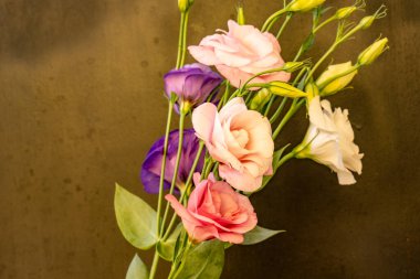 Yumuşak çiçekli güzel çiçeklerin manzarasını kapat.         