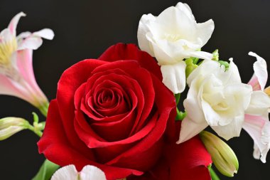 Siyah arka planda narin çiçekleri olan güzel çiçek buketini kapat.         