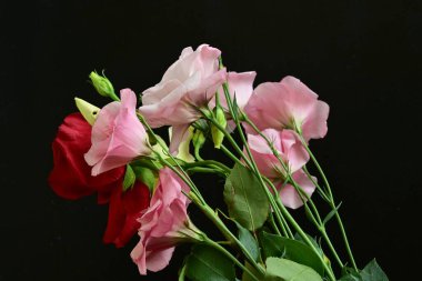 close up eustoma and rose flowers on black background 
