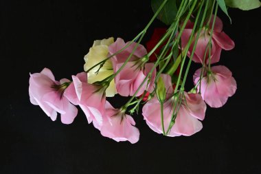 close up eustoma and rose flowers on black background 