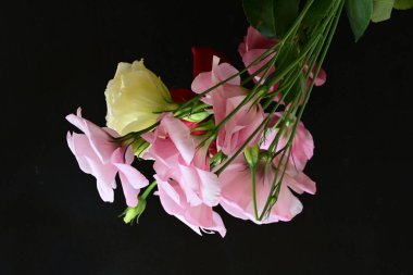 close up eustoma and rose flowers on black background 