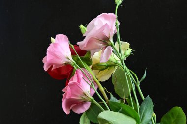close up eustoma and rose flowers on black background 