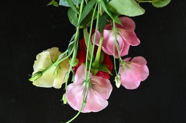close up eustoma and rose flowers on black background 