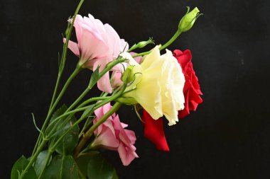 bouquet of rose and eustoma flowers, close - up 