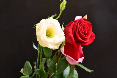 bouquet of rose and eustoma flowers, close - up 