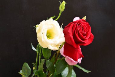 bouquet of rose and eustoma flowers, close - up 