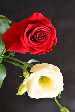 bouquet of rose and eustoma flowers, close - up 