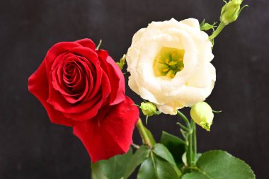 bouquet of rose and eustoma flowers, close - up 