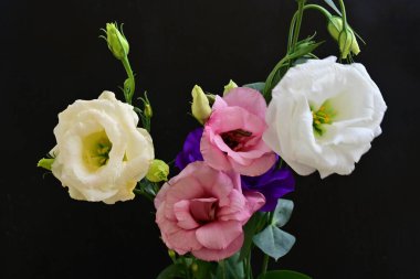 close up eustoma and rose flowers on black background 