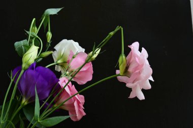 close up eustoma and rose flowers on black background 