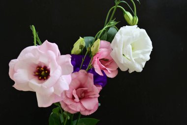 close up eustoma and rose flowers on black background 