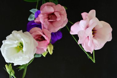 close up eustoma and rose flowers on black background 