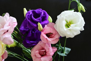 close up eustoma and rose flowers on black background 